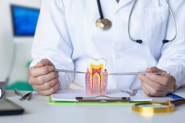 Best Emergency Dental Care for Sports Injuries in Thomasville, GA